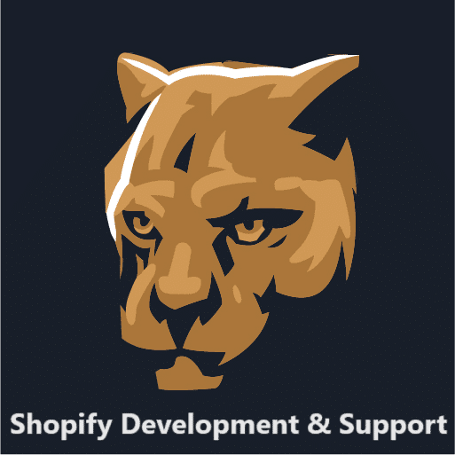 Shopify Development & Support