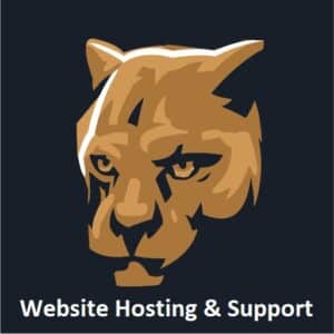 WordPress Hosting & Support - Basic Package