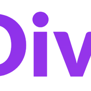 Divi License - Annual